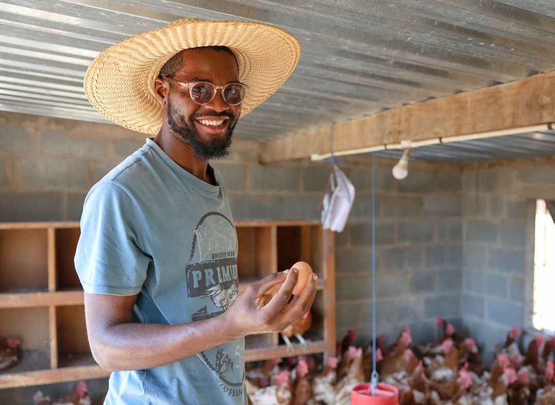 Powering the Good: Sustainability through Farming and Solar Power