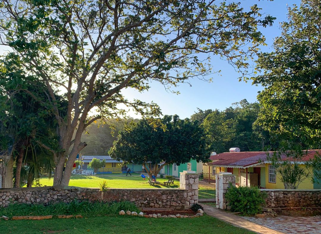 Where People and the Earth Thrive Together: Our Gardening Solutions for Sustainable Communities