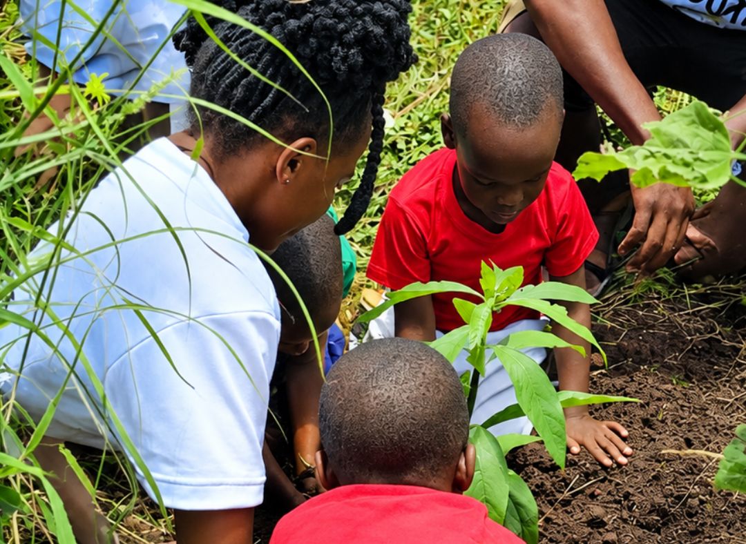 Trust in the Nourishment of God: A Reflection from MSC Zimbabwe